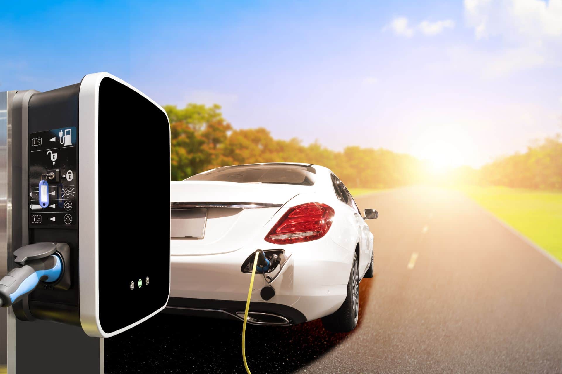 Indian EV industry may surpass traditional medium of transport: Report