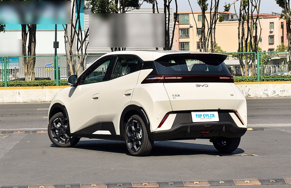 After success in China, BYD Seagull plans to expand worldwide